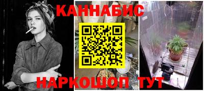 прущие крисы Можайск