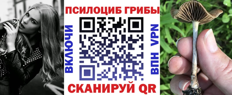 Галлюциногенные грибы MAGIC MUSHROOMS купить закладку Тавда