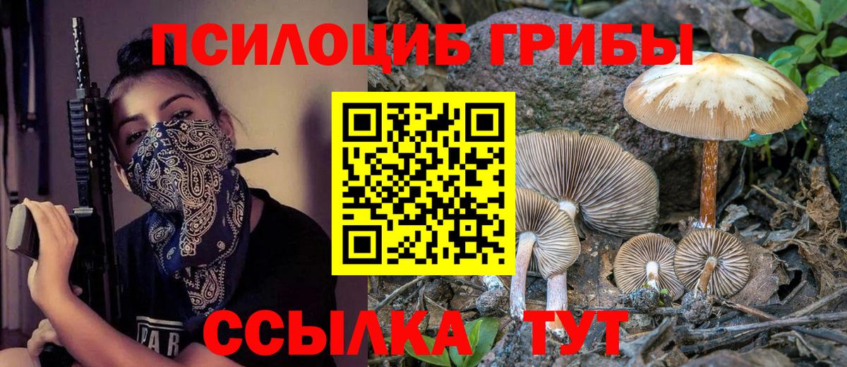 Псилоцибиновые грибы GOLDEN TEACHER  как найти   Тавда  Вход с VPN 