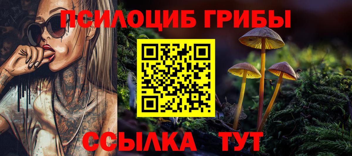 Галлюциногенные грибы ЛСД Тавда